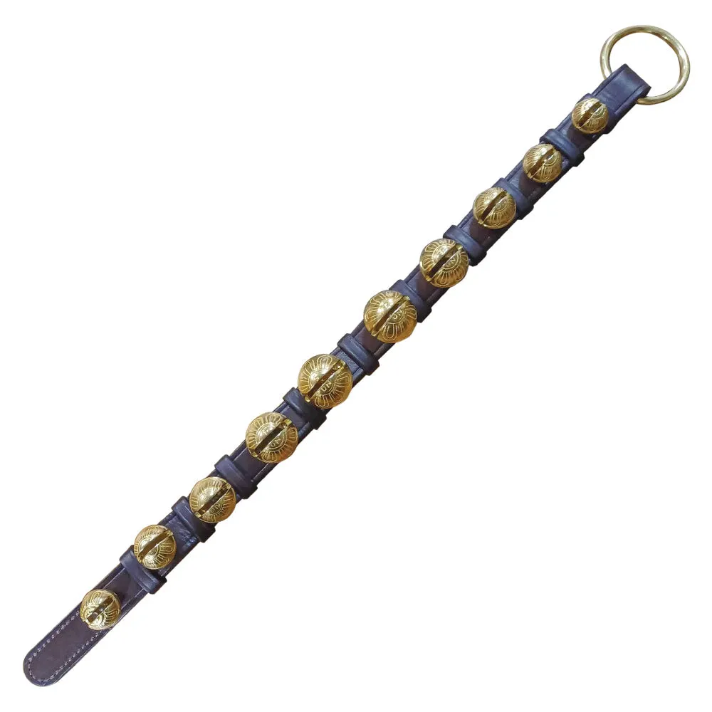 10 Graduating Brass Sleigh Bells on Leather Strap