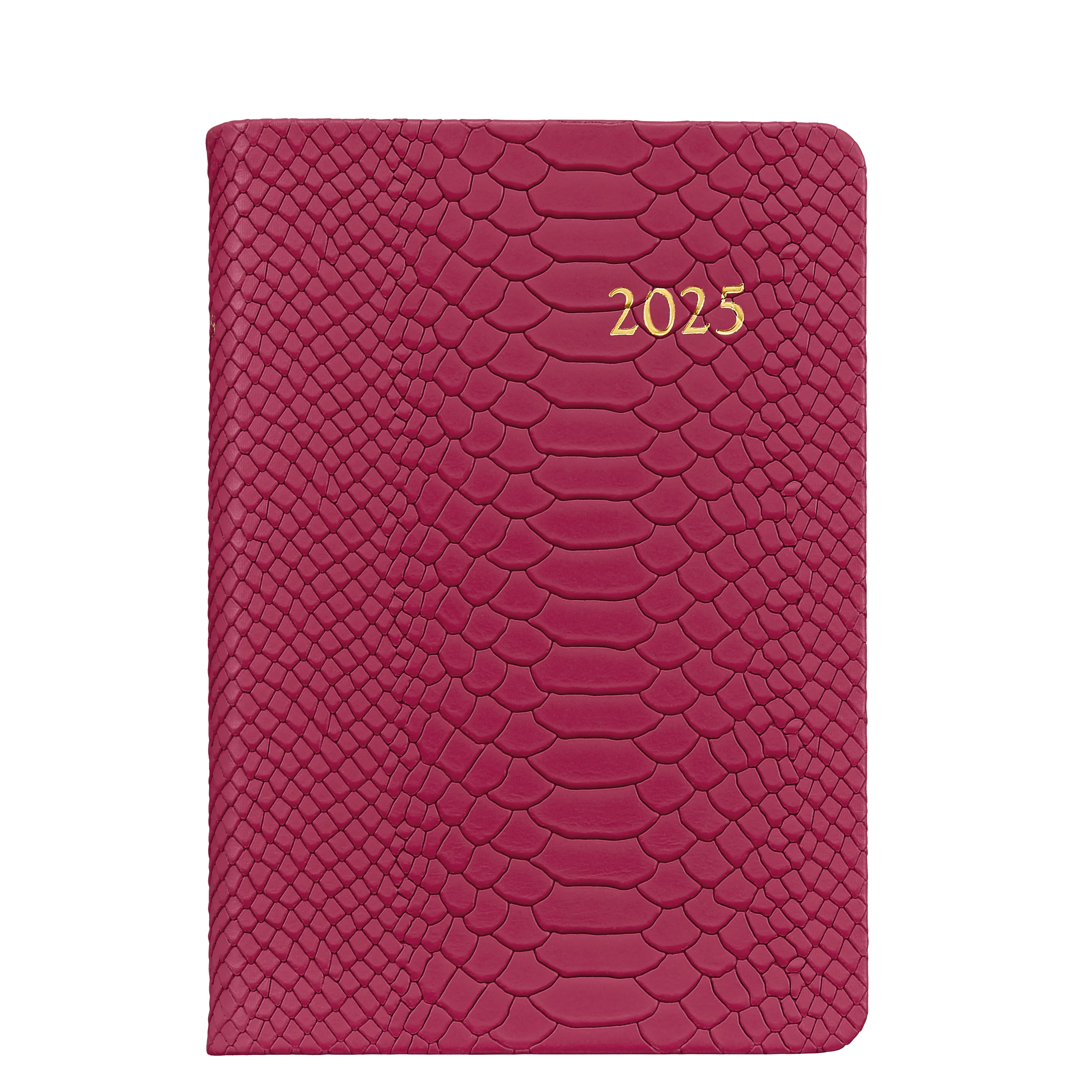 2025 Daily Journal