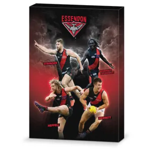 AFL Essendon Bombers Canvas