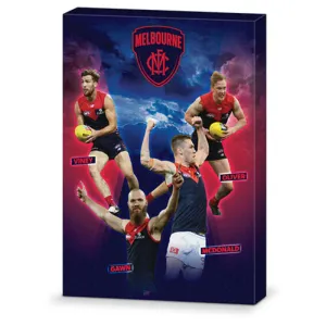 AFL Melbourne Demons Canvas