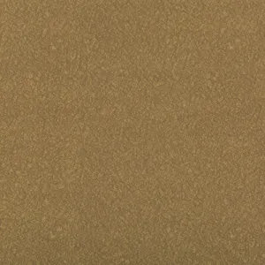 Ames-Sparrow