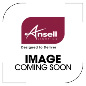 Ansell A/AP/PI/03/20/SI/01 2m Plaster In 14x29 IP20 Silver