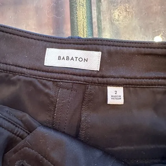 Aritzia NWT Babaton Faux Leather Short