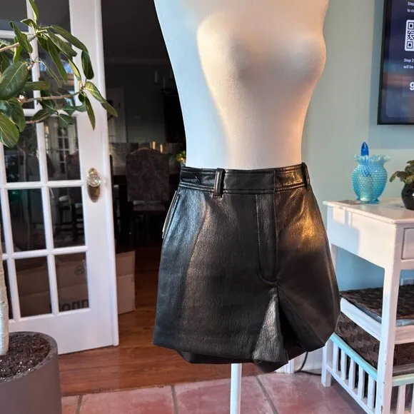 Aritzia NWT Babaton Faux Leather Short