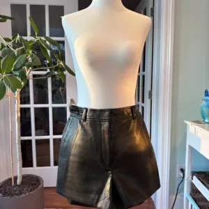 Aritzia NWT Babaton Faux Leather Short