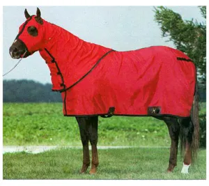 Big D Nylon Sheet