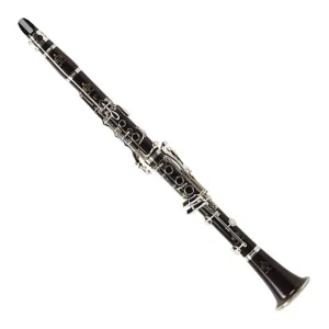 Buffet E13 B Flat 18 Keys Clarinet in Gig Bag