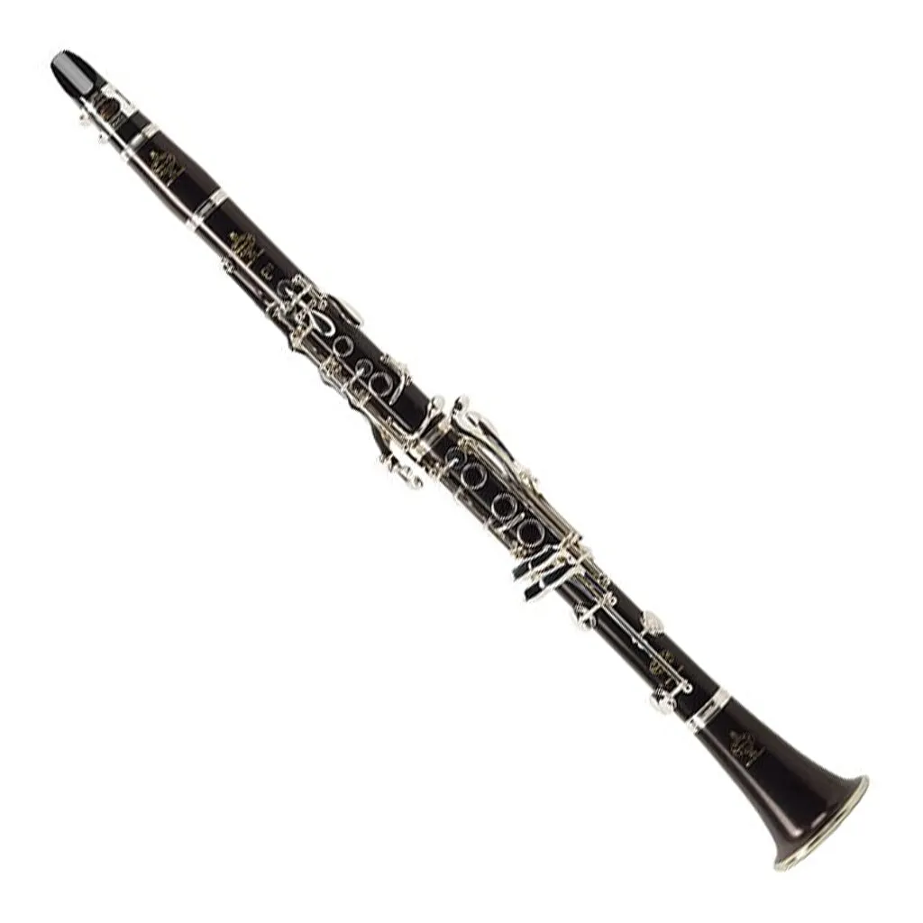 Buffet E13 B Flat 18 Keys Clarinet in Gig Bag