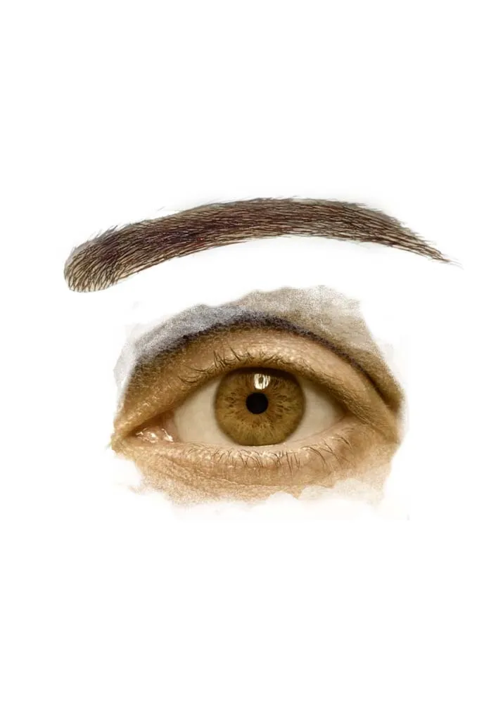 Cove Hair Brows PU Skin Eyebrows - 1 pair