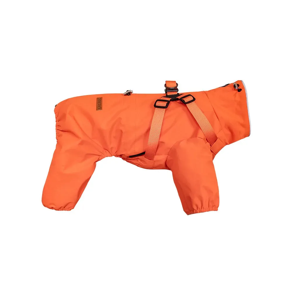 Dog Raincoat With Harness