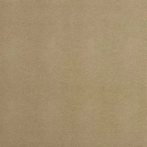 Epitome-Putty
