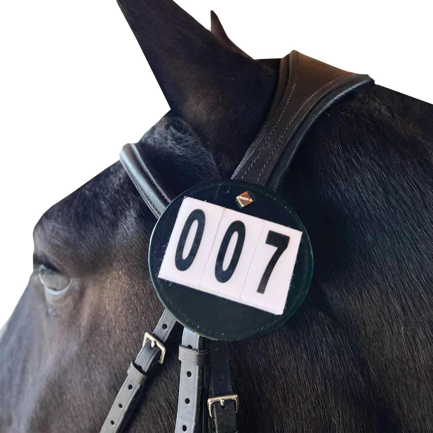Equetech Luxe Dressage Bridle Number Holders