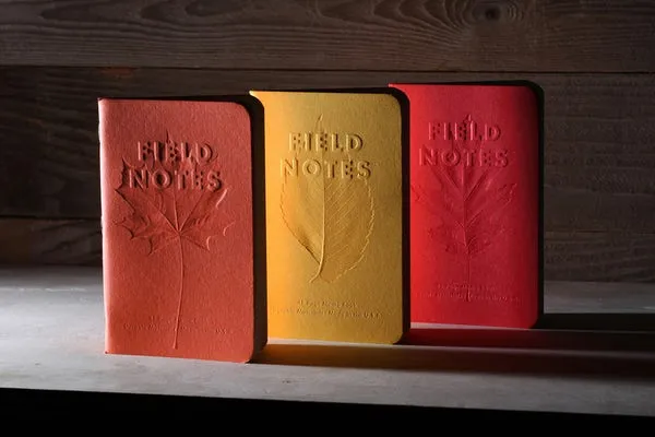FNC-44 Field Notes Autumn Trilogy 3-Pack
