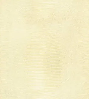 Haute Croc-Ivory