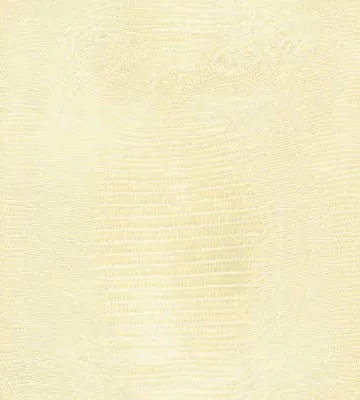 Haute Croc-Ivory