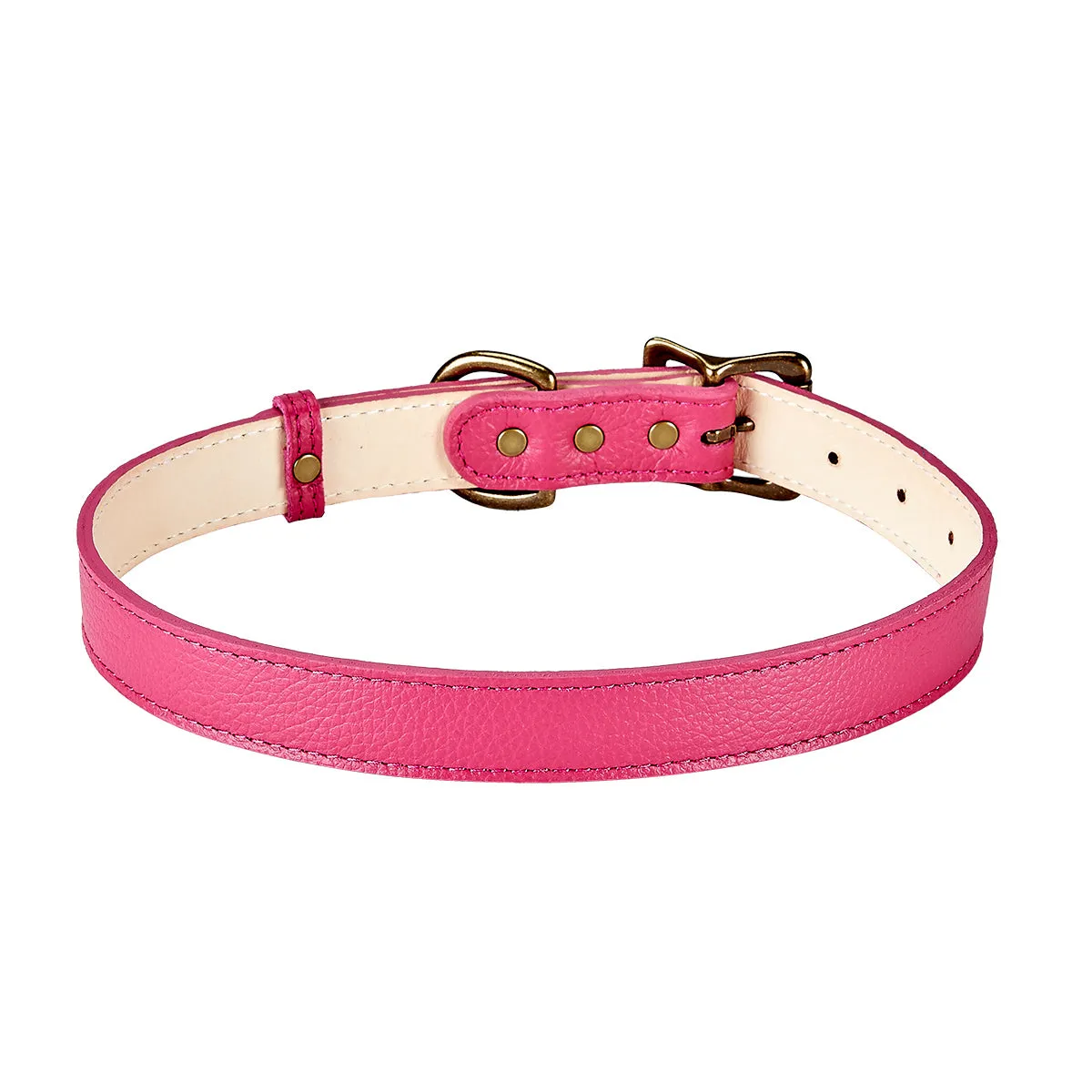 Large Dog Collar