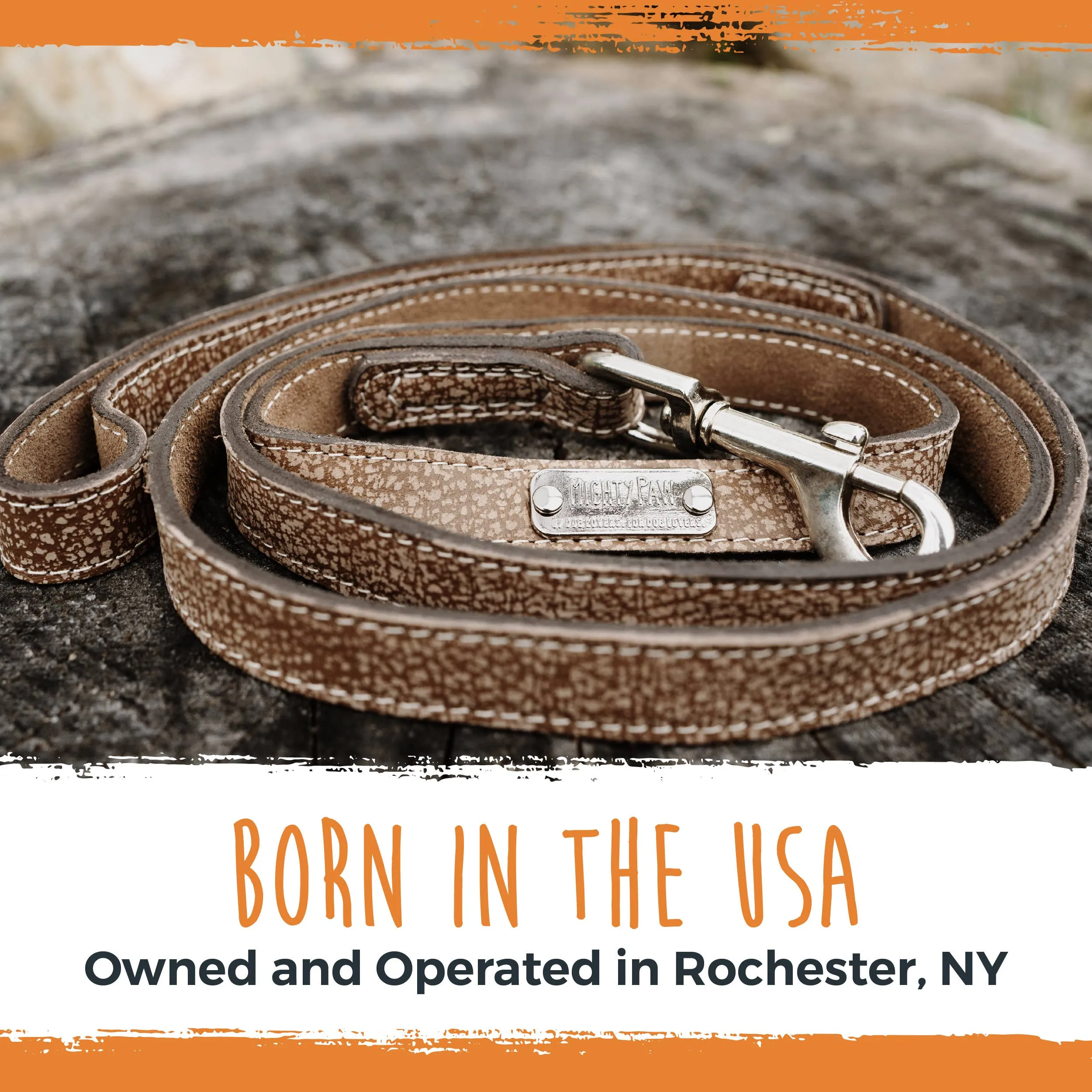 Leather Dog Leash (Distressed)