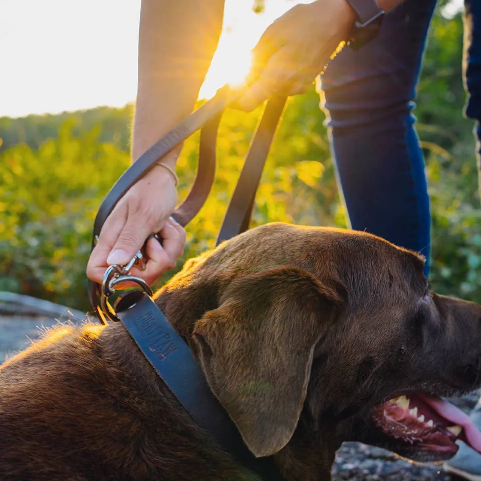 Leather Dog Leash (Distressed)
