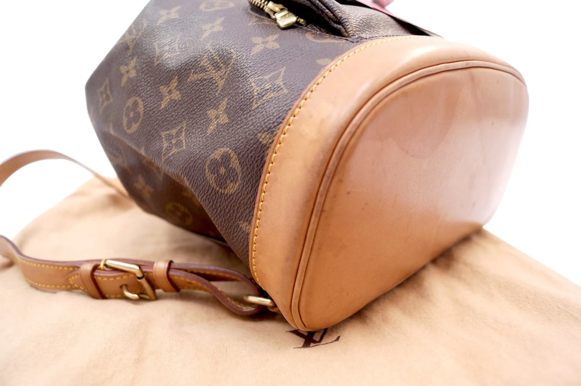 LOUIS VUITTON Monogram Montsouris MM Backpack
