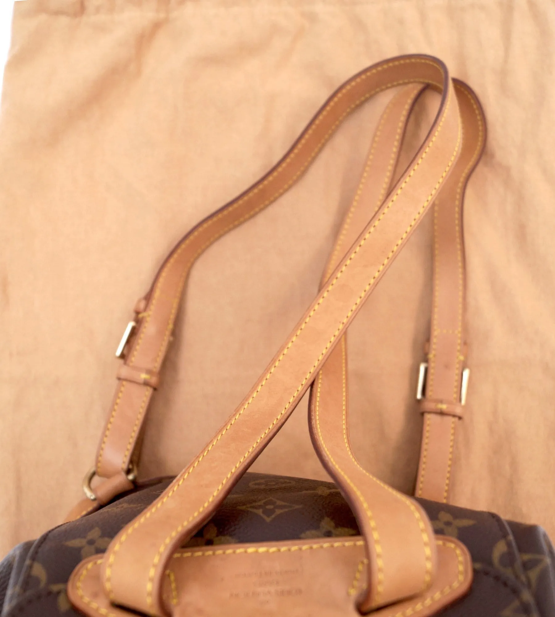 LOUIS VUITTON Monogram Montsouris MM Backpack