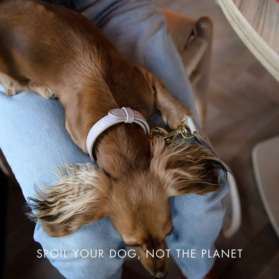 Milan Vegan Leather Dog Collar | Multiple Colours