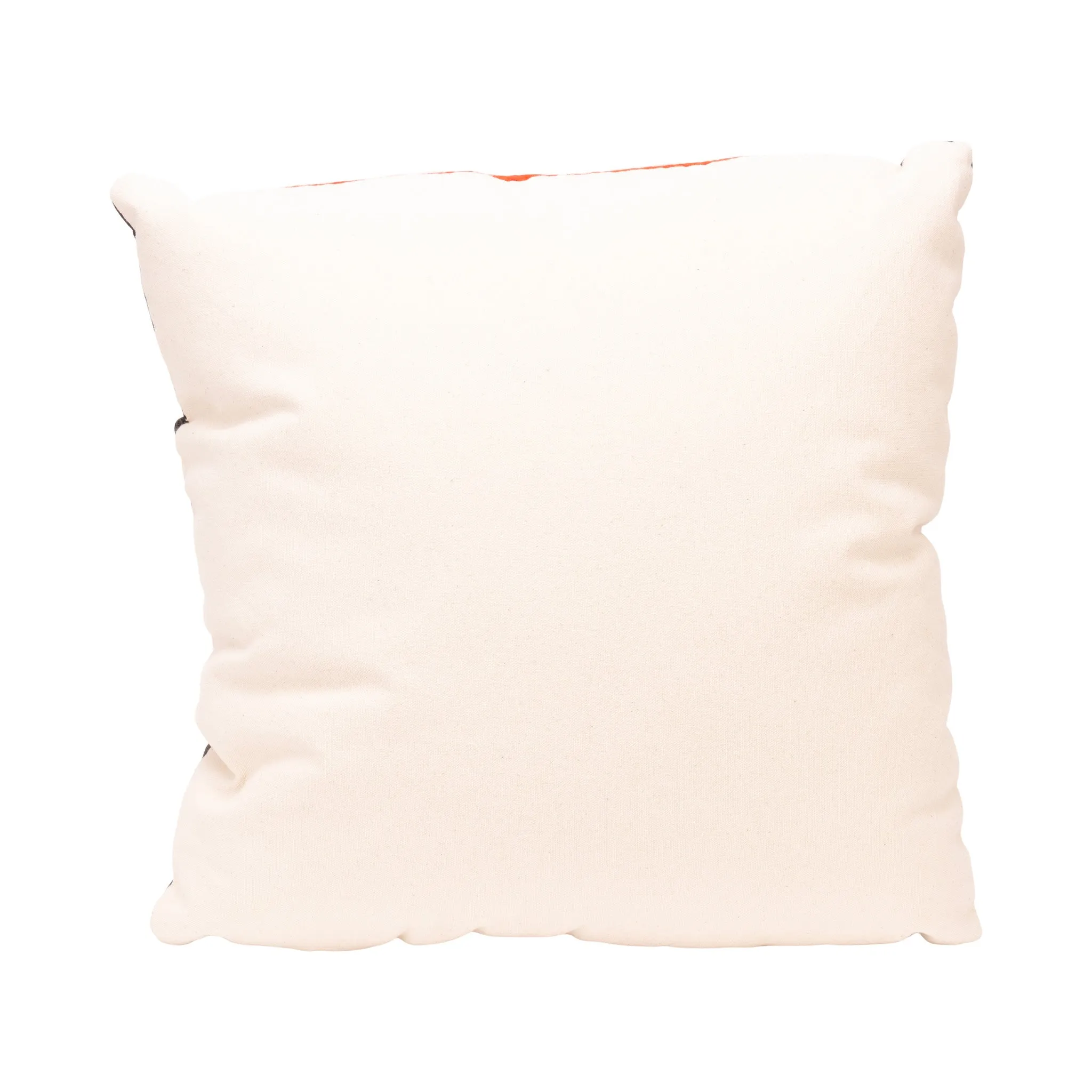 Native Lodge Pillow