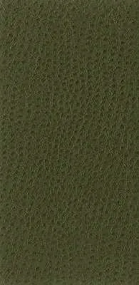 Nuostrich-30
