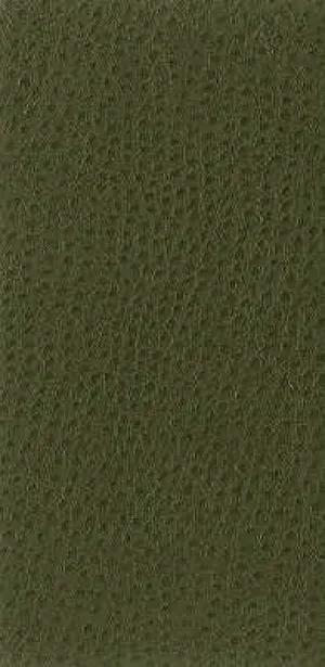 Nuostrich-30