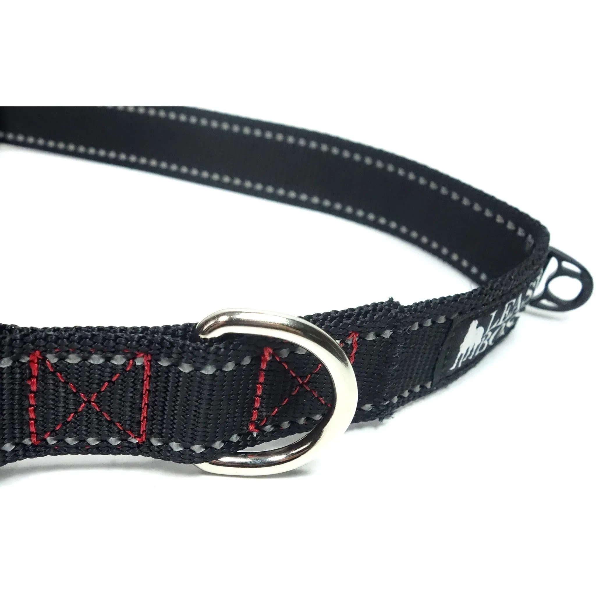 Reflective Dog Collar with Reflector Buckle