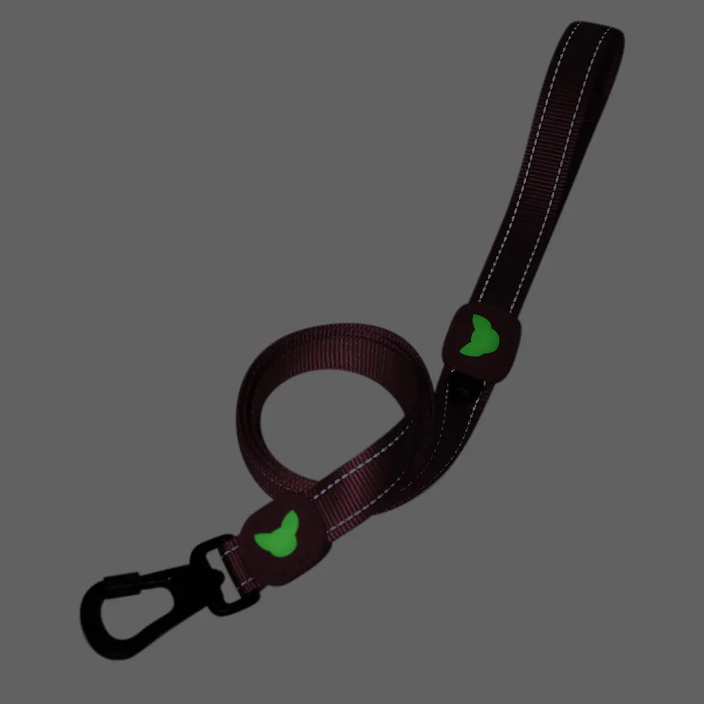 Reflective Dog Leash | Essentials Collection