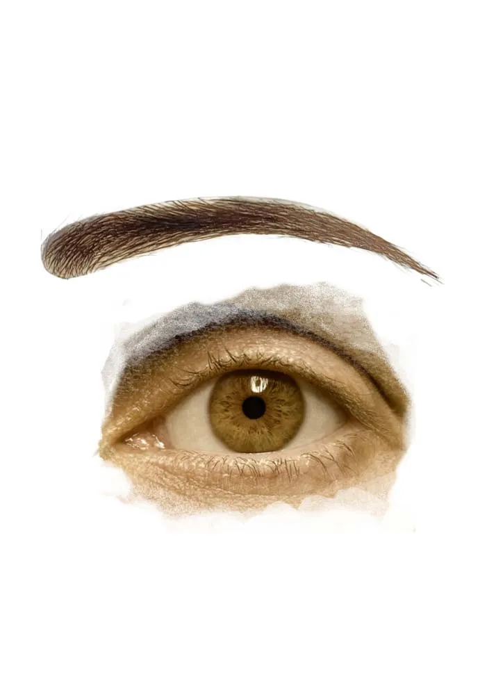 Robyn Hair Brows PU Skin Eyebrows - 1 pair