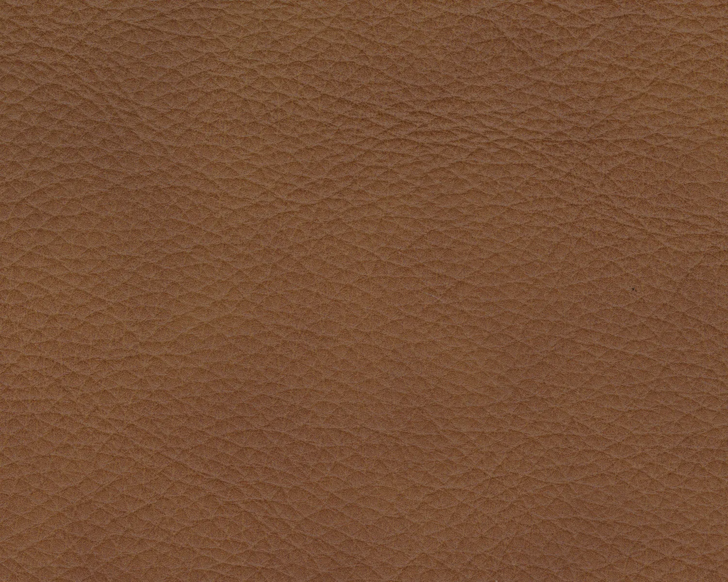 Rylee Leather Armless Recliner