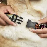 Star Wars Pet Collar, Dog Collar Plastic Buckle, Star Wars The Child Chibi Pod Pose This Is The Way
