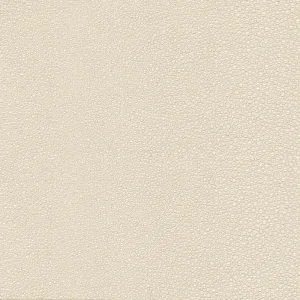 Stingray-Ivory
