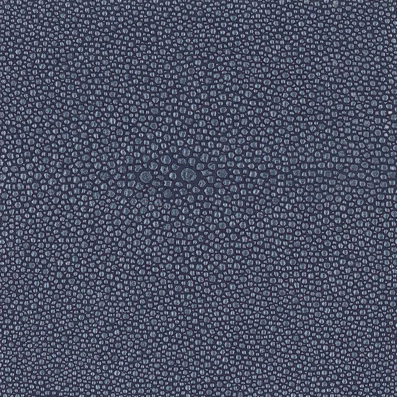 Stingray-Ocean