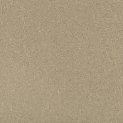 Syrus-Elm