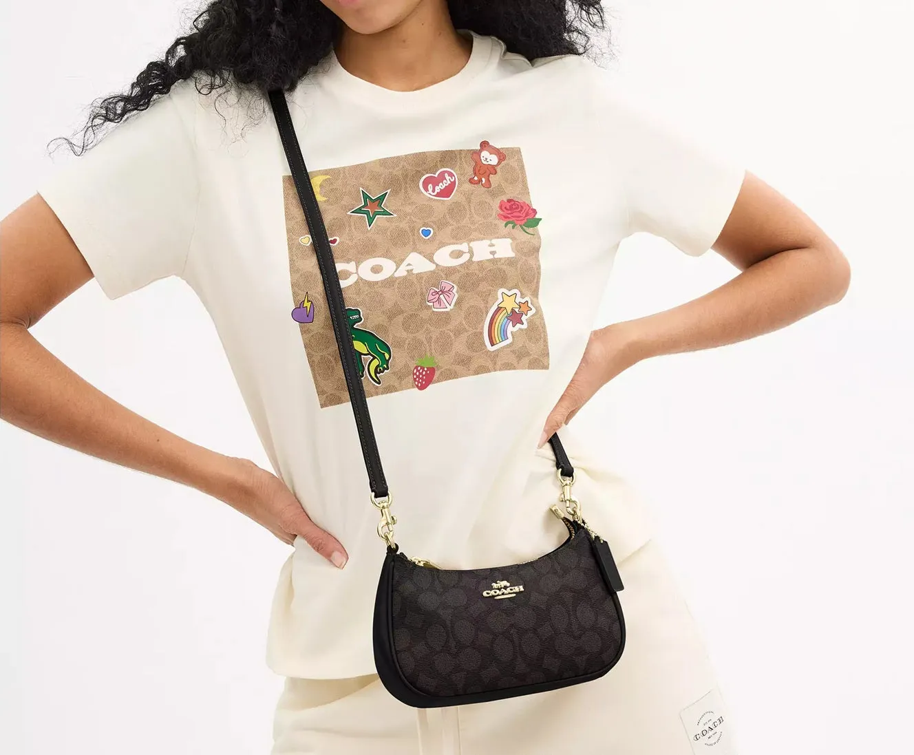Teri Mini Crossbody Bag In Signature Canvas Walnut Black Coach