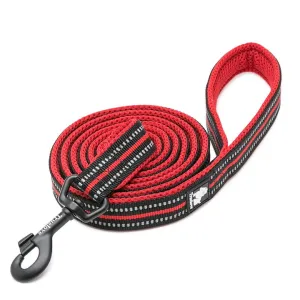 True Love Reflective Pet Leash 2m - Red, S