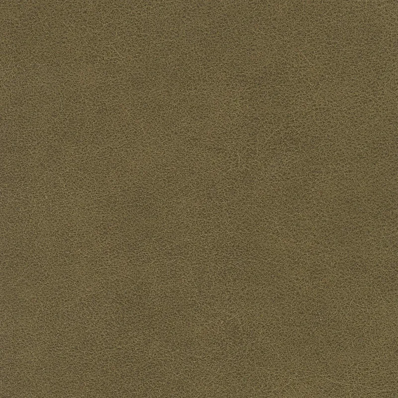 Tucson-Olive