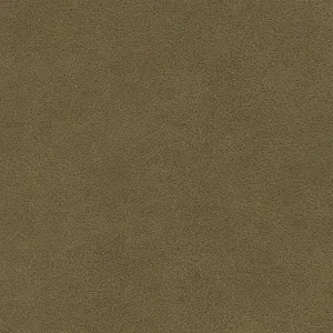 Tucson-Olive