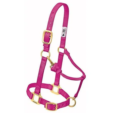Weaver 1" Original Adjustable Nylon Halter-Yearling (Multiple Color Options)