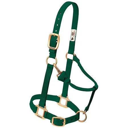 Weaver 1" Original Adjustable Nylon Halter-Yearling (Multiple Color Options)