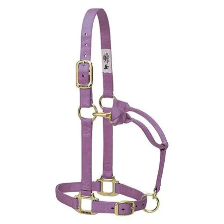 Weaver 1" Original Adjustable Nylon Halter-Yearling (Multiple Color Options)