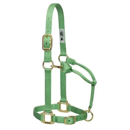Weaver Leather Original Adjustable Chin and Throat Snap Halter, 1" Large Horse or 2-Year-Old Draft