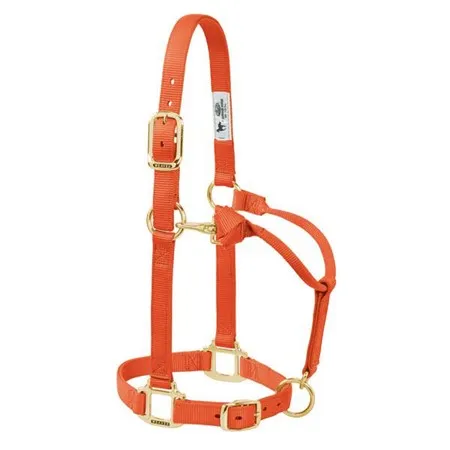 Weaver Leather Original Adjustable Chin and Throat Snap Halter, 1" Large Horse or 2-Year-Old Draft