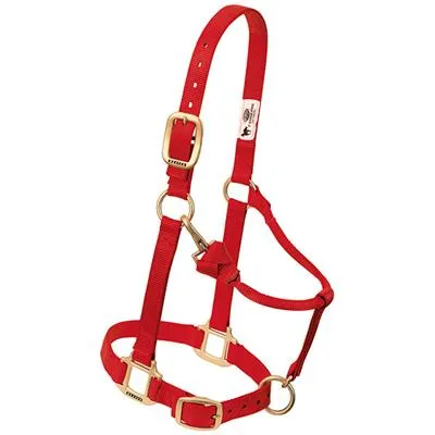 Weaver Leather Original Adjustable Chin and Throat Snap Halter, 1" Large Horse or 2-Year-Old Draft