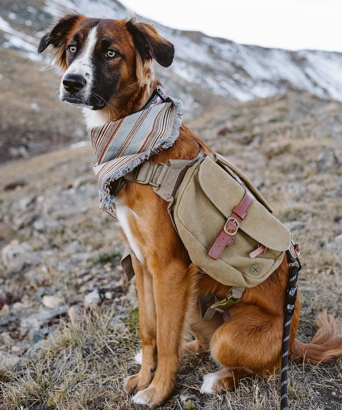 Wolf Republic - Ranger Pack