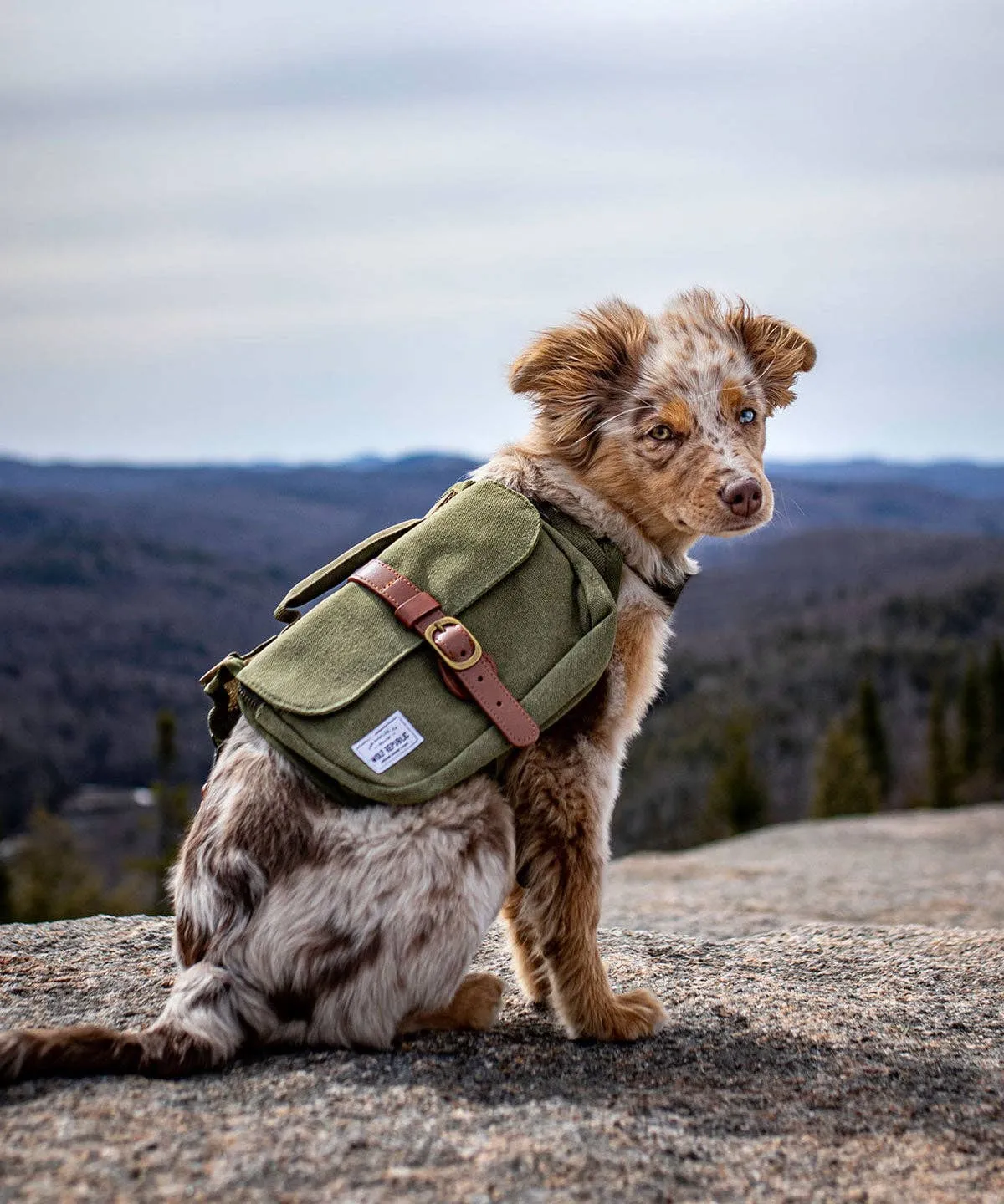 Wolf Republic - Ranger Pack